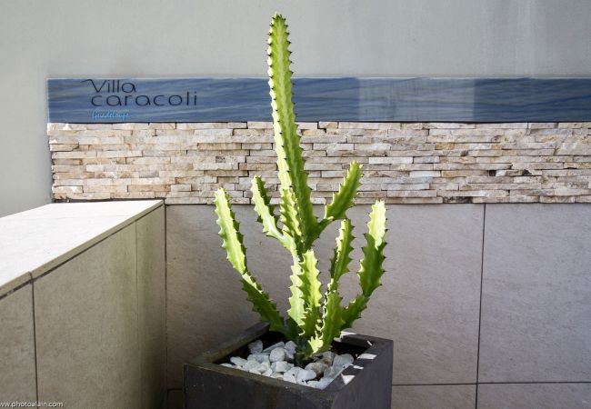 Villa à Sainte-Anne - ESTHERIA Villa à Sainte-Anne - ESTHERIA