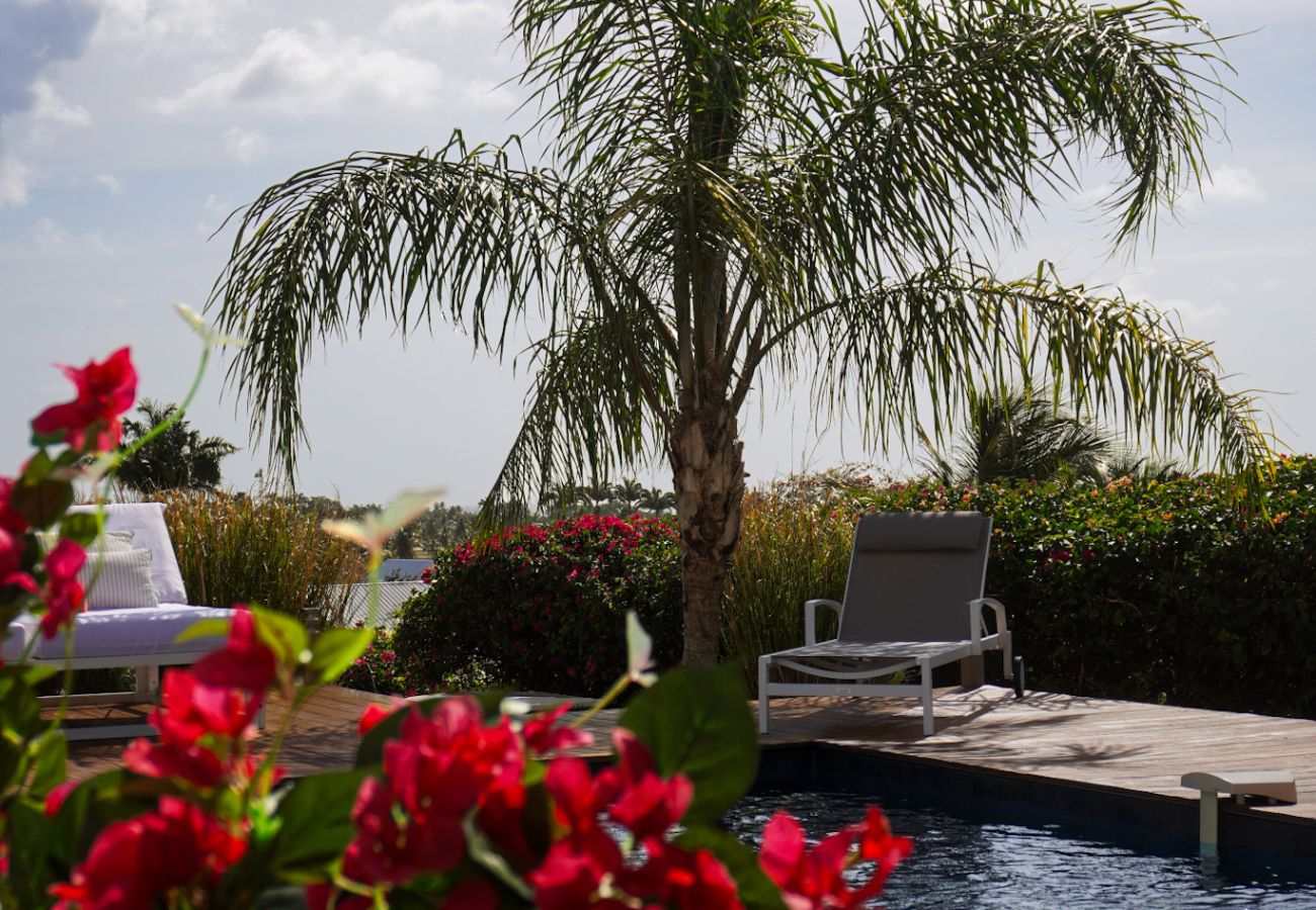 Villa à Saint-François - VILLA KAOUNA