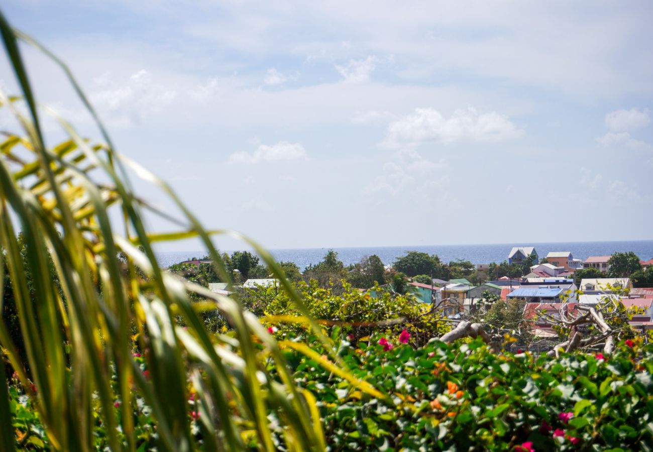 Villa à Saint-François - VILLA KAOUNA