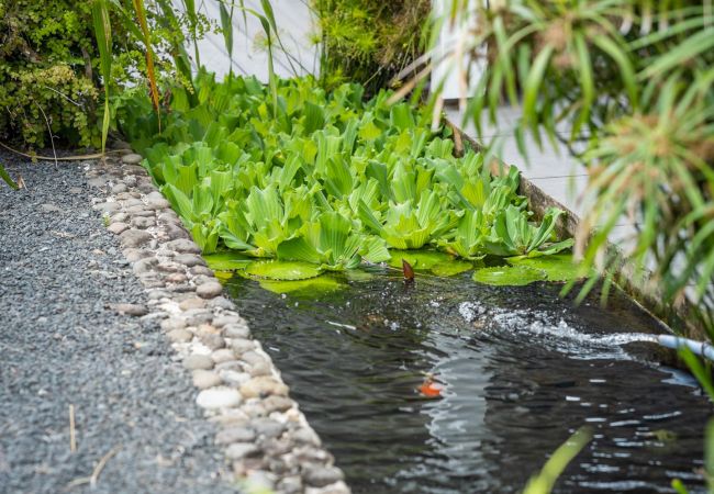 Villa in Gourbeyre - La Girafe Bleue Villa in Gourbeyre - La Girafe Bleue