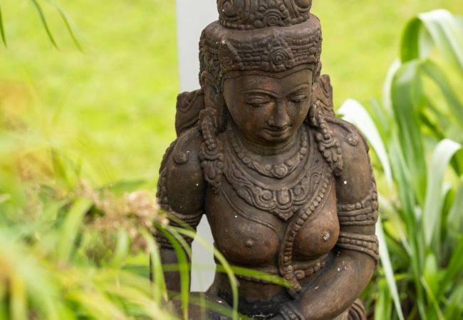 Villa in Gourbeyre - La Girafe Bleue Villa in Gourbeyre - La Girafe Bleue