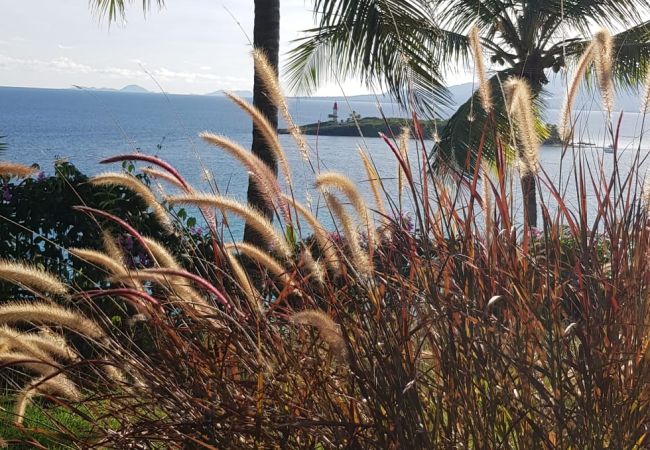 Villa in Le Gosier - BAMBUCK Villa in Le Gosier - BAMBUCK