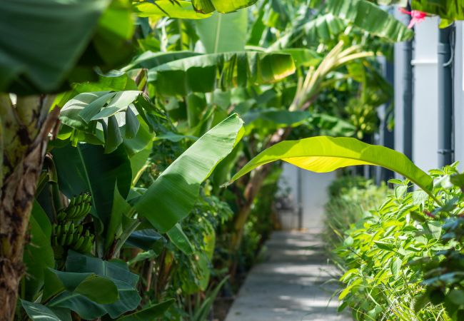 Villa in Saint-François - RISHNA Villa in Saint-François - RISHNA