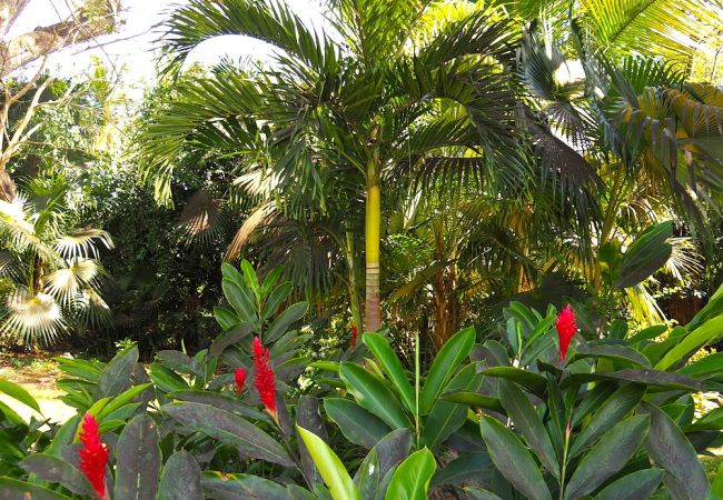 Villa in Le Gosier - ROUGE Villa in Le Gosier - ROUGE