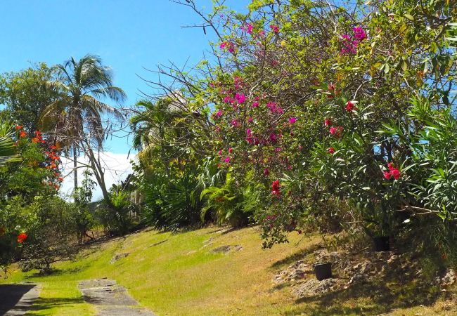 Villa in Le Gosier - ROUGE Villa in Le Gosier - ROUGE