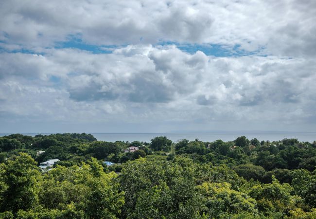 Villa in Sainte-Anne - CORALIA Villa in Sainte-Anne - CORALIA