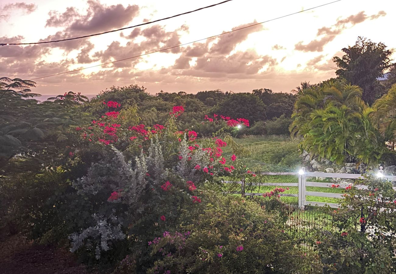 Villa in Saint-François - MERALTA